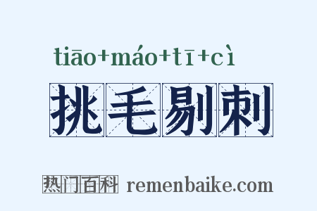挑毛剔刺是什么意思的图片